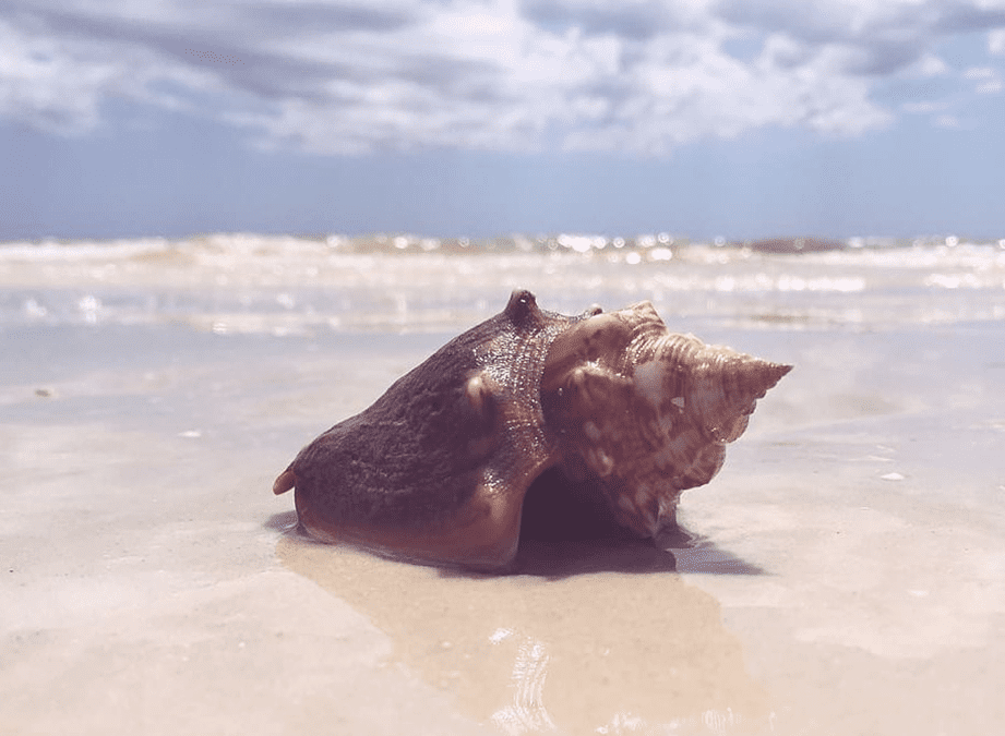 No toques nada en las playas