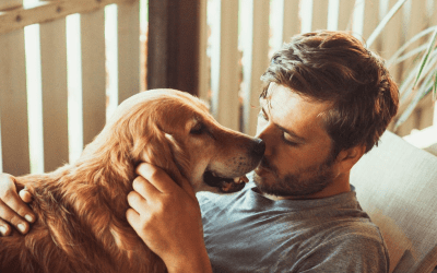 MASCOTAS: ¿COMO SABER SI TU PERRO ES FELIZ?