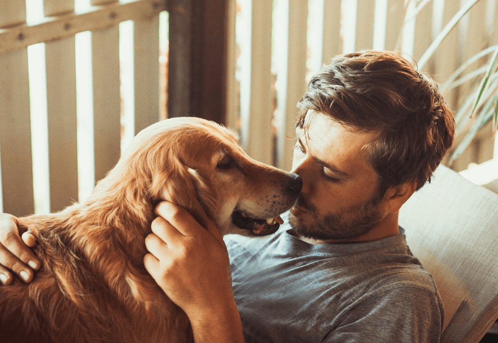 MASCOTAS: ¿COMO SABER SI TU PERRO ES FELIZ?