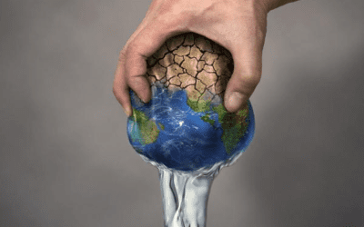 MEDIO AMBIENTE