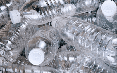 COMO LAS BOTELLAS DE PLÁSTICO DAÑAN NUESTRO MEDIO AMBIENTE.