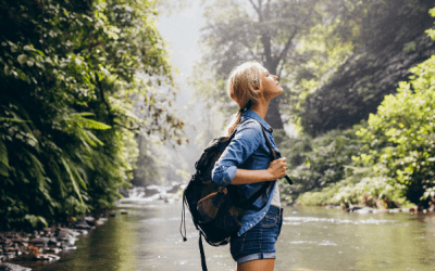 ALIMENTOS ECOLÓGICOS DE VERANO Y SUS PROPIEDADES