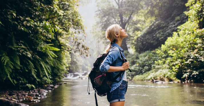 ALIMENTOS ECOLÓGICOS DE VERANO Y SUS PROPIEDADES