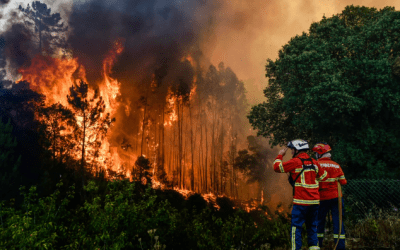 ¿POR QUÉ EN VERANO HAY MÁS INCENDIOS FORESTALES?