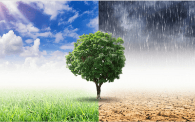 LA CRISIS CLIMÁTICA.