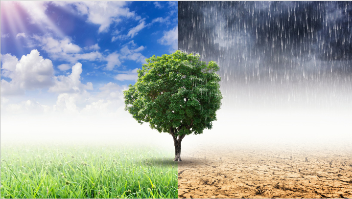 LA CRISIS CLIMÁTICA.