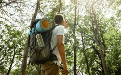 LA INTELIGENCIA ARTIFICIAL PARA EL TURISMO SOSTENIBLE