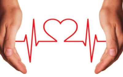 CÓMO CUIDAR LA SALUD CARDIOVASCULAR