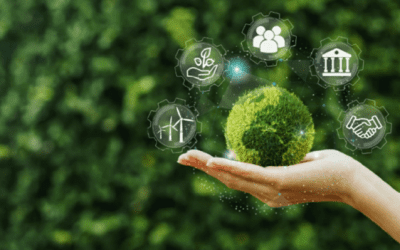 PRODUCTOS ECOLÓGICOS: TODO LO QUE DEBES SABER PARA NO CONFUNDIRLOS