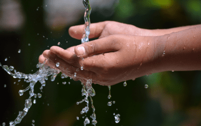 LA IMPORTANCIA DEL AGUA