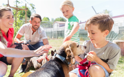 LA ADOPCIÓN RESPONSABLE