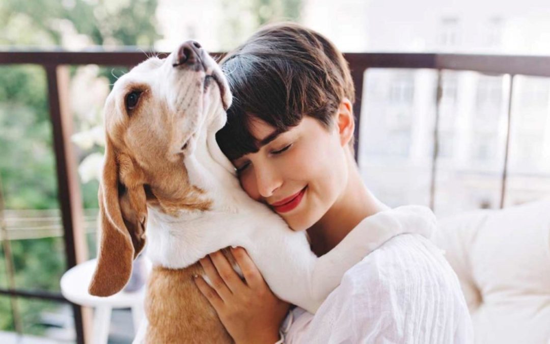CUIDANDO A NUESTROS COMPAÑEROS PELUDOS.