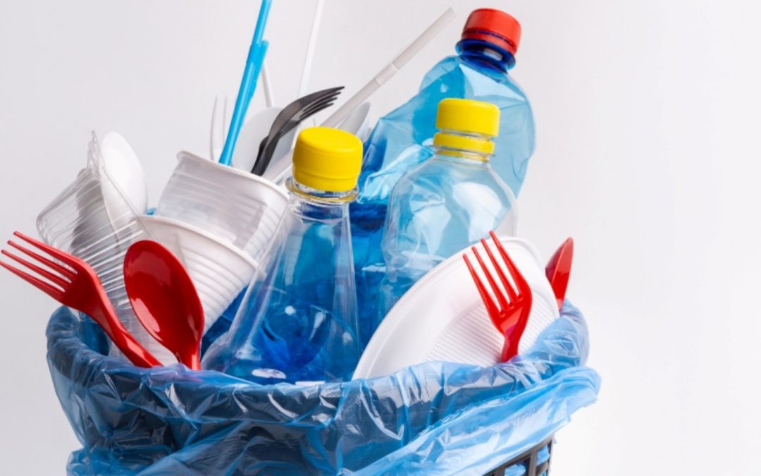 ELIMINACIÓN DE PLÁSTICOS DE UN SOLO USO.