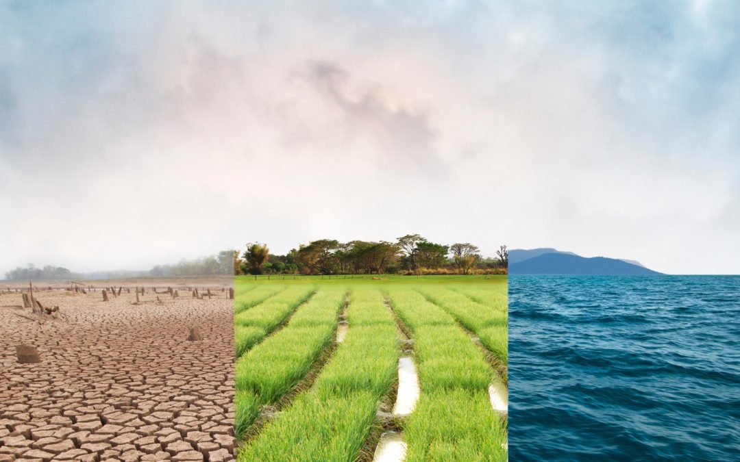 CAMBIO CLIMÁTICO Y ACCIÓN CLIMÁTICA