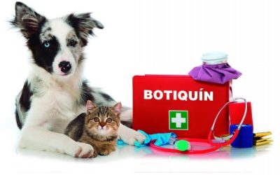 Primeros Auxilios para Mascotas