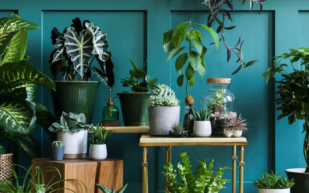 Espacios Verdes en Casa