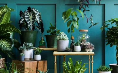 Espacios Verdes en Casa