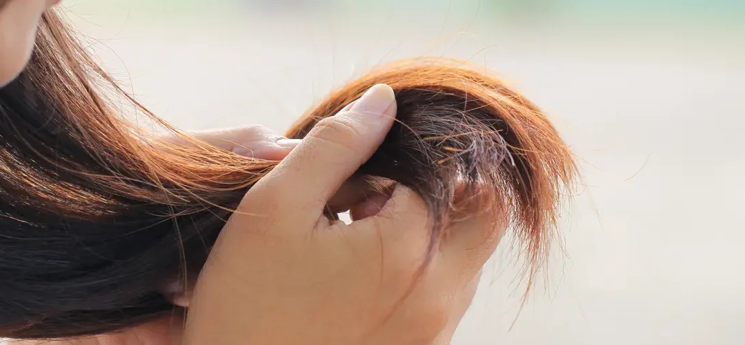 Consejos para Cuidar el Cabello Expuesto al Sol