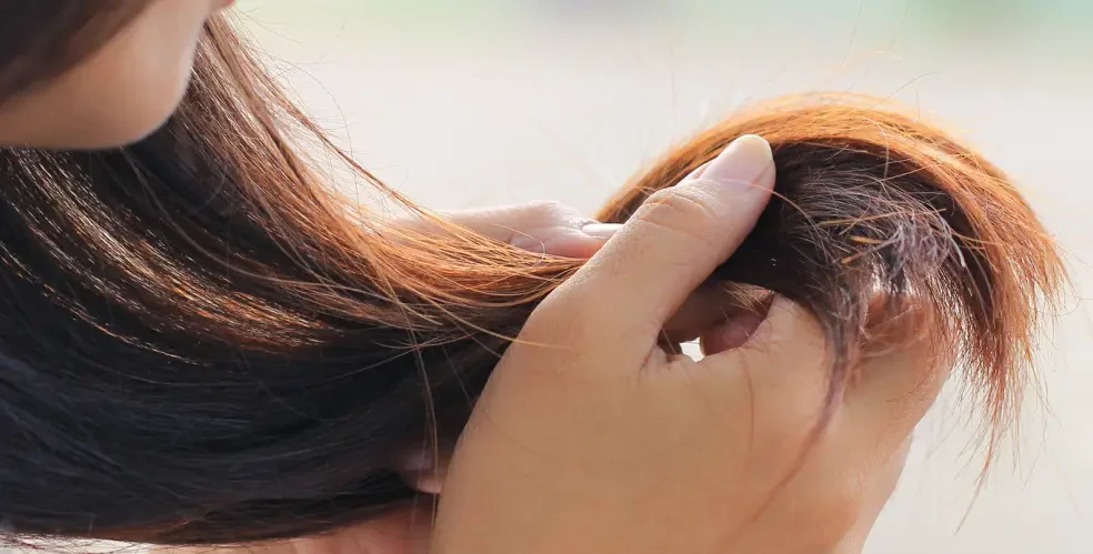 Consejos para Cuidar el Cabello Expuesto al Sol