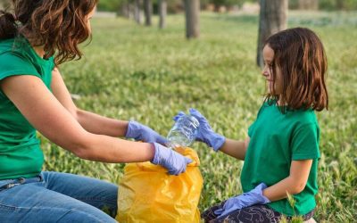 Proyectos escolares sostenibles