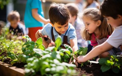 La importancia de los huertos escolares