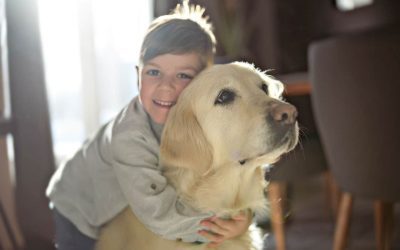 Cómo ayudar a las mascotas a adaptarse cuando los niños pasan más tiempo fuera