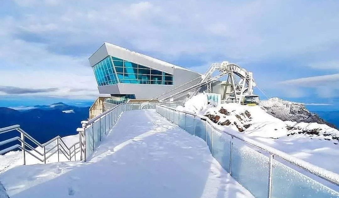 244724935_1293949774392108_2020617895554330335_n