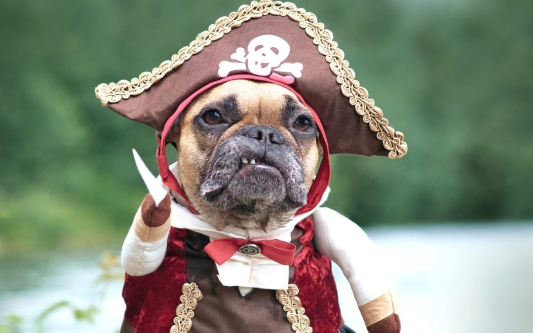 DIFRAZAR TU MASCOTA EN CARNAVAL